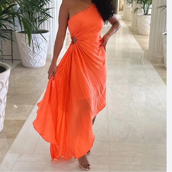 Vici Dresses & Skirts - NWT AaKaa- Vici pleated dress orange medium